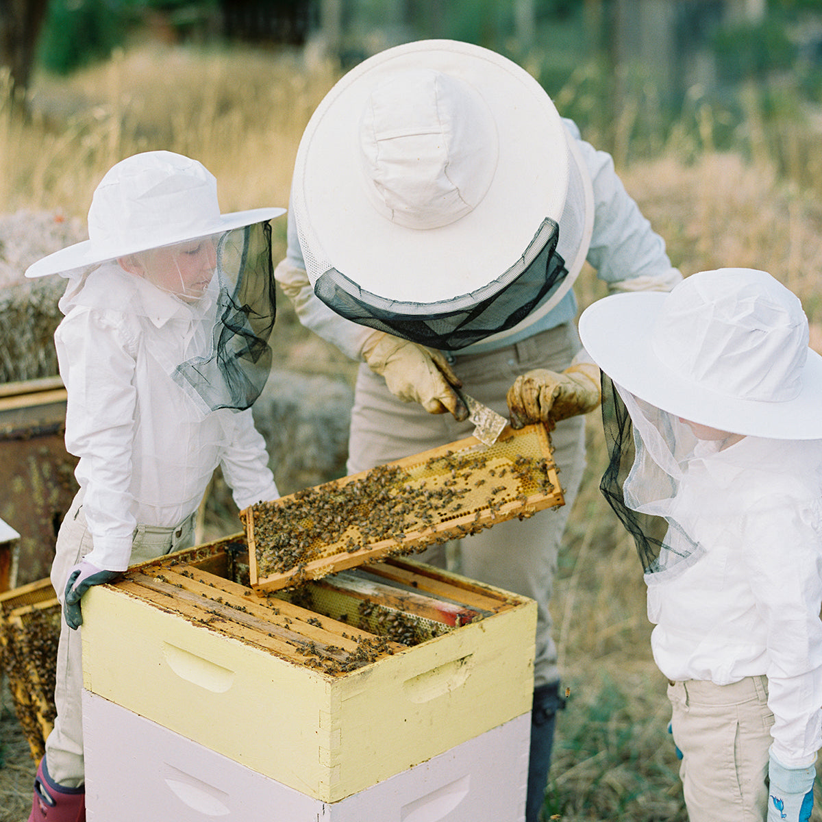 The Benefits of Raw Honey: Nature’s Sweet Superfood