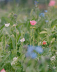 Wildflower seed packet to support bees, bee-friendly plants for pollination, natural habitat for honeybees, eco-friendly gardening, sustainable seeds.