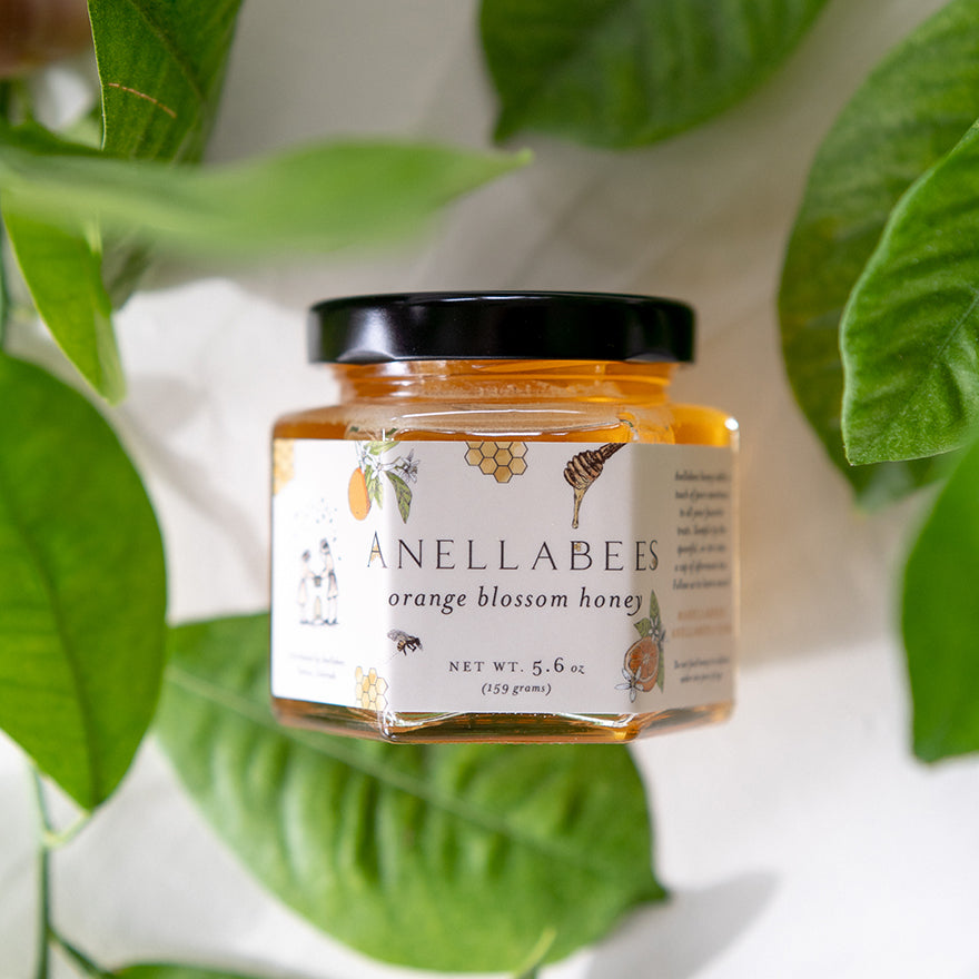 Wholesale Orange Blossom Honey