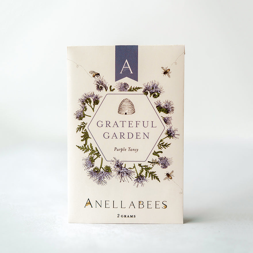 tansy flower seeds Purple Tansy Flower Seeds Save the Bees