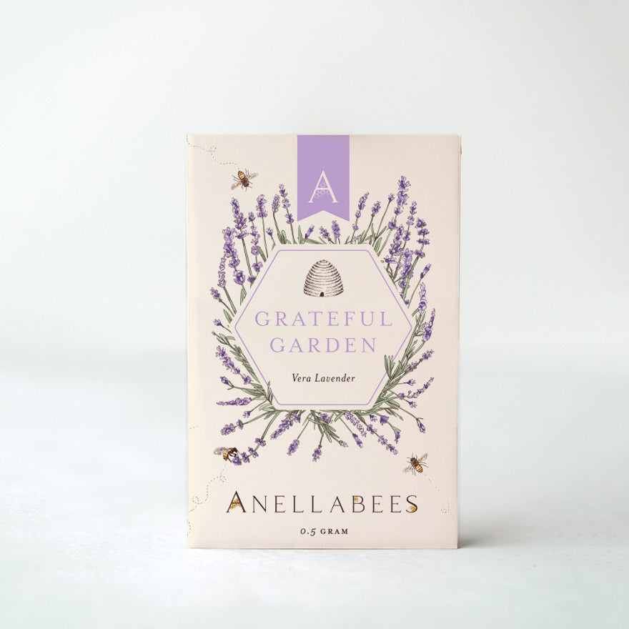 organic lavender seeds Lavandula Angustifolia Vera for Fragrant Gardens – One Packet