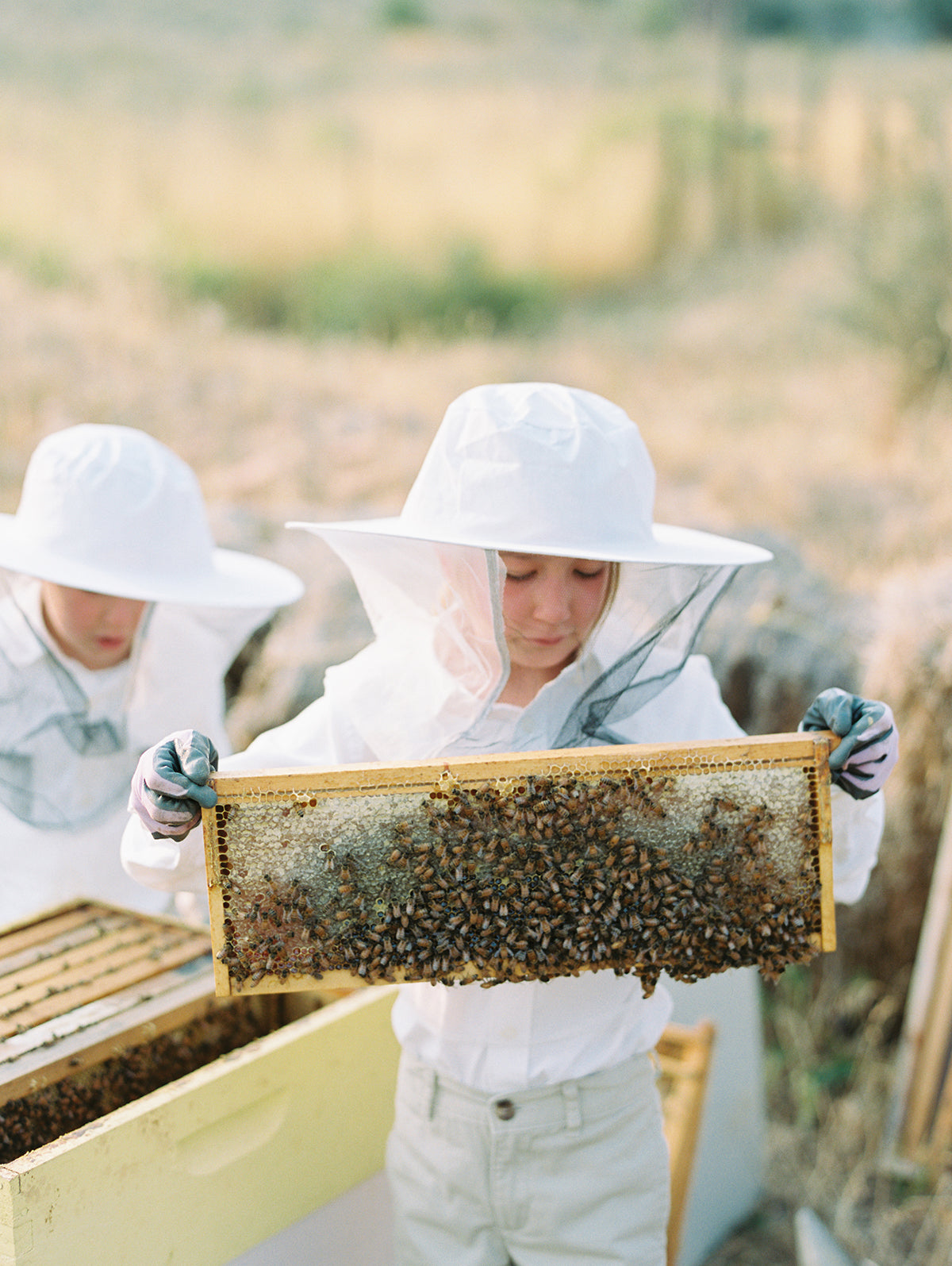 Raw Wildflower Honey