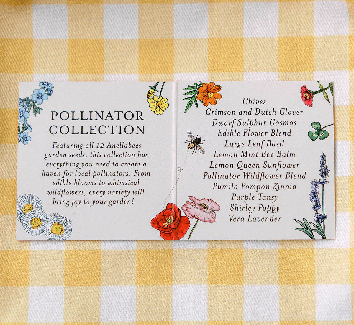 Pollinator Wildflower Seed Blend for Bees and Butterflies